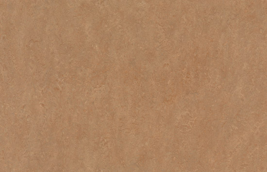 Marmoleum Decibel Shitake