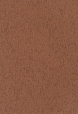 Touch Duet  Coral 3528