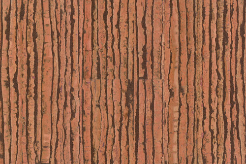 Tradition_Expression