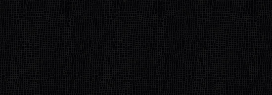 Walton Crocodiles C123 black croco