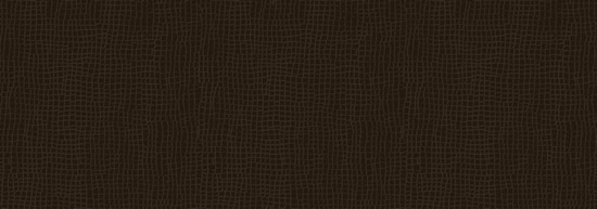 Walton Crocodiles C184 espresso croco