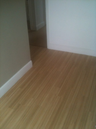 carpet and wood living areas 1