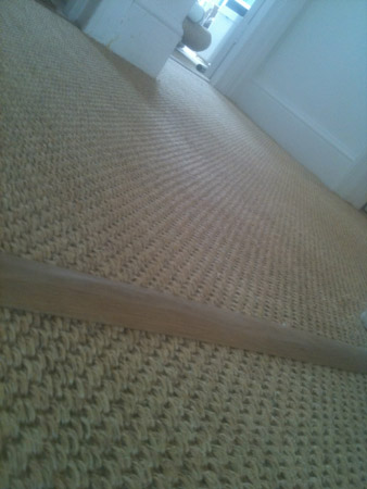 carpet and wood living areas 3