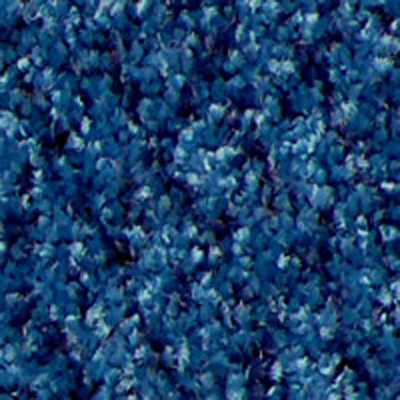 d2820 Cornflowerblue