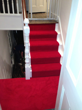 red carpet runner down stairs 1