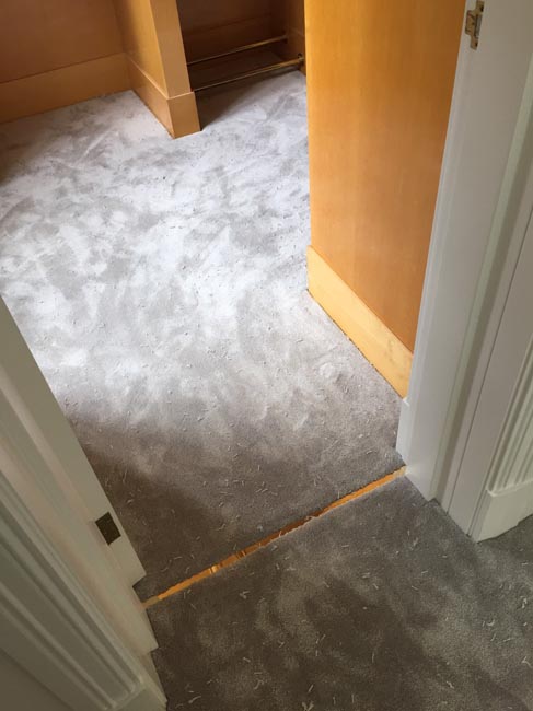 Hermosa Illuminada wood flooring installation_12