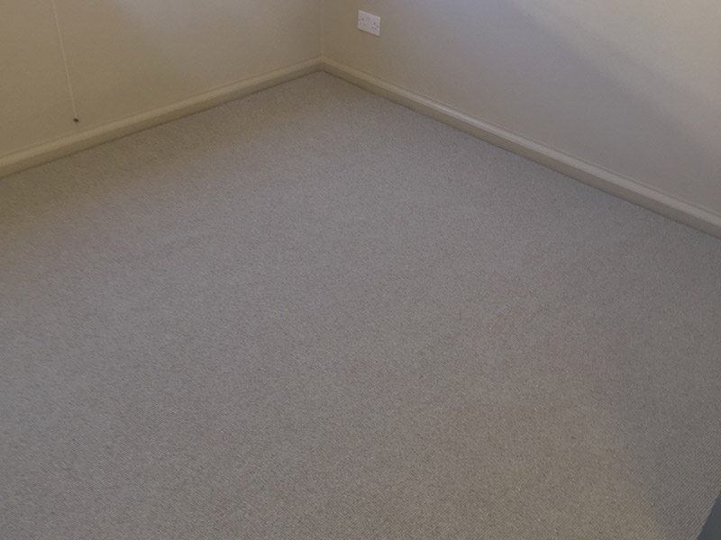 Carpet In Room - Carpet - Residential
