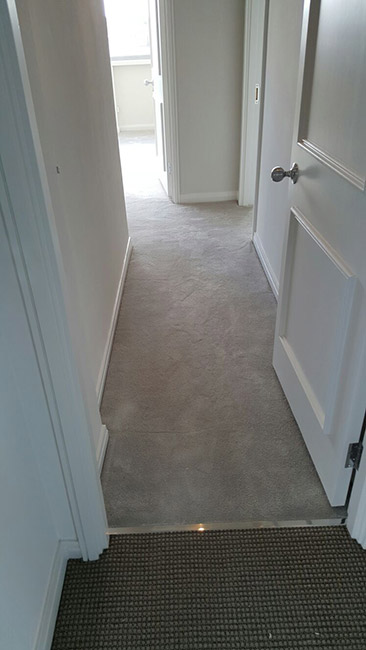 Natural-Elements-Silkresse-for-Big-Room-09