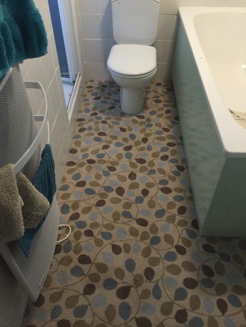 smooth floors bathroom vinyl 01