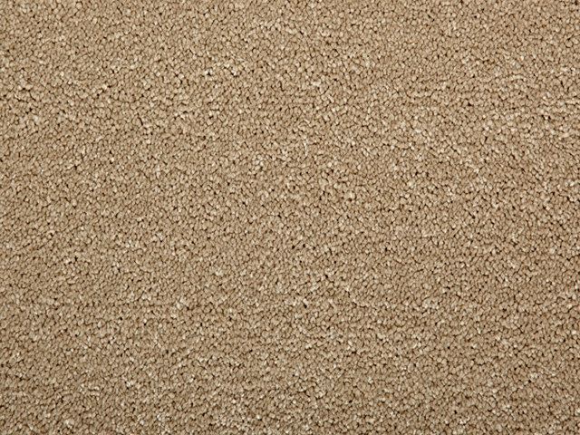 Clarendon Carpets Easycare Anti-stain - Allure - Carpet