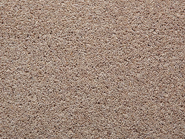 Clarendon Carpets - Wool MIX Twist Piles - Chancellor, Carpet, overview