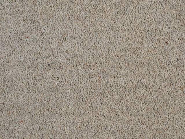Clarendon Carpets Wool Mix Twist Piles - Clarendon Twist - Carpet