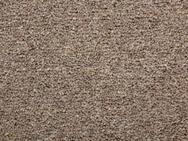 Clarendon Carpets Wool Mix Twist Piles - Kendall - Carpet
