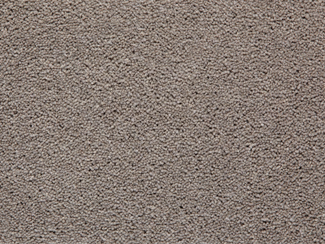 Clarendon Carpets Wool Mix Twist Piles - Mayfair Plains - Carpet