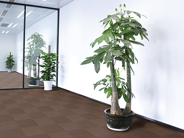 Dyne Carpet Tiles - New Area