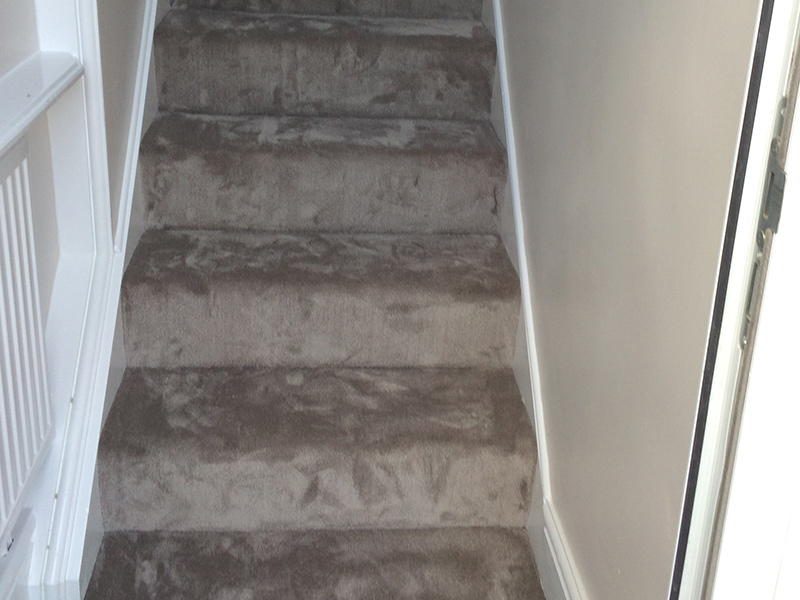 Clarendon carpets cavendish pumice installation in Westminster