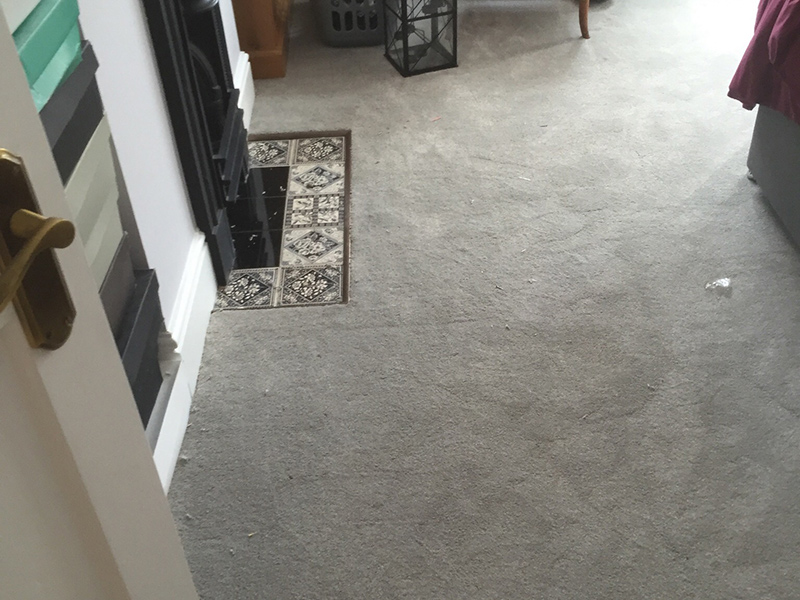 Room Flooring Residential Flooring 7032 - Guide - Carpet