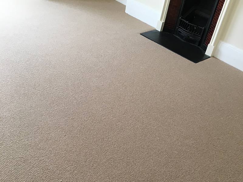 Carpet - Home 41433 - Carpet - Residential