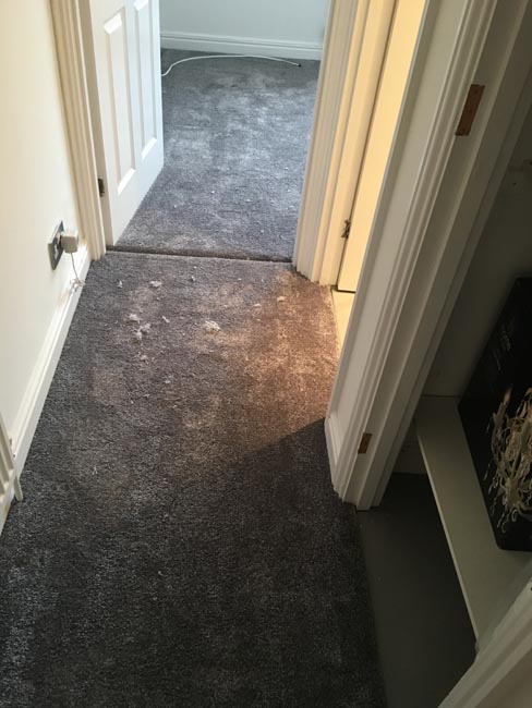 portfolio-carpets-staircase-in-silkresse-carpet-05