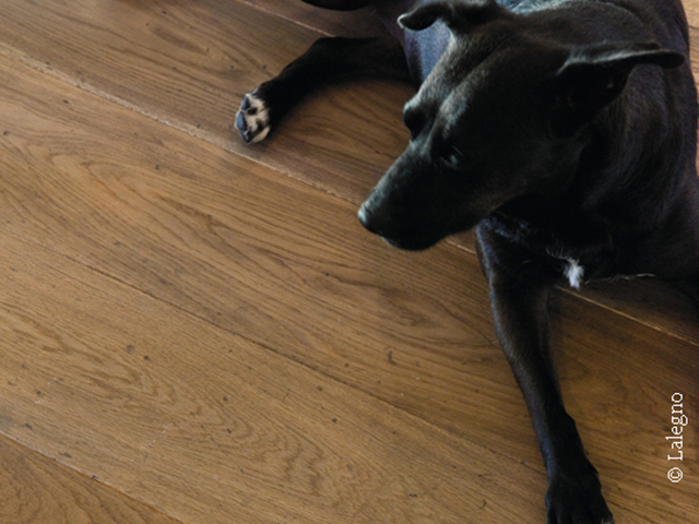 Lionvest Trading - Lalegno - Latour, Wood Flooring, overview