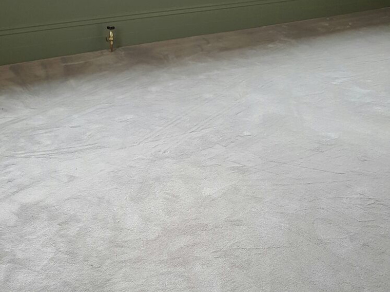 Carpet - Home 42311 - Carpet - Residential