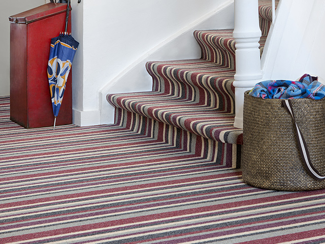 Edel Telenzo Carpets Hammersmith 155 - Carpet - News