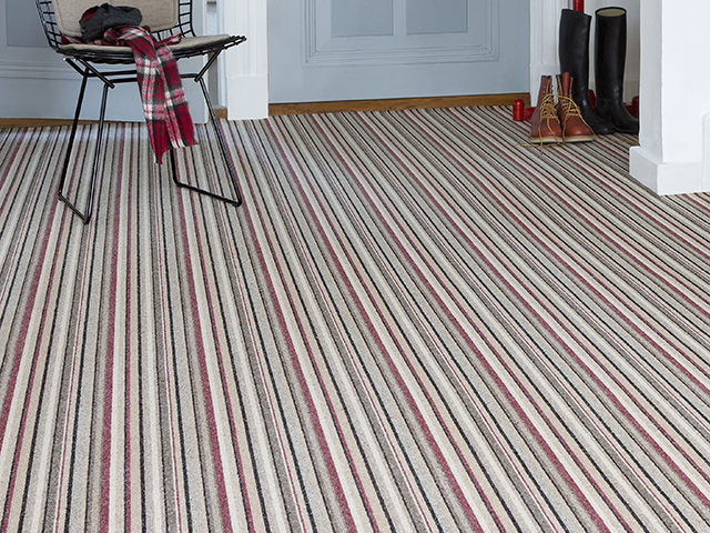 Edel Telenzo Carpets Piccadilly 155 - Carpet - News