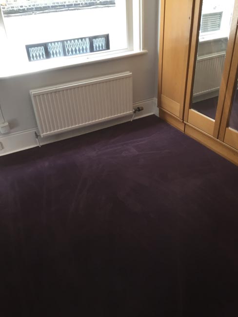 portfolio carpets purple carpet stairs and landings 01
