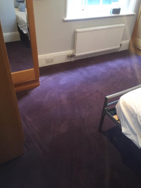 portfolio carpets purple carpet stairs and landings 03