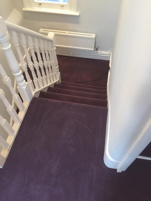 portfolio carpets purple carpet stairs and landings 05