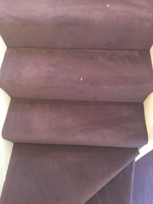 portfolio carpets purple carpet stairs and landings 07