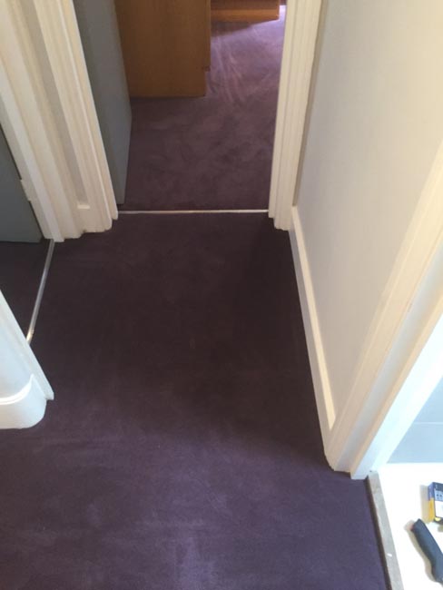 portfolio carpets purple carpet stairs and landings 08