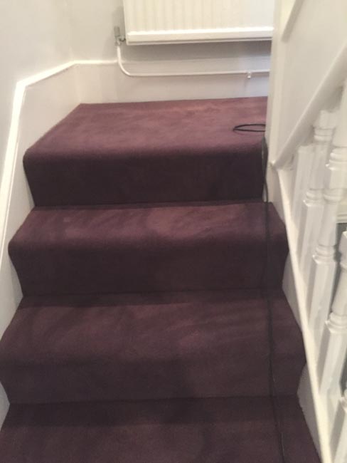 portfolio carpets purple carpet stairs and landings 10