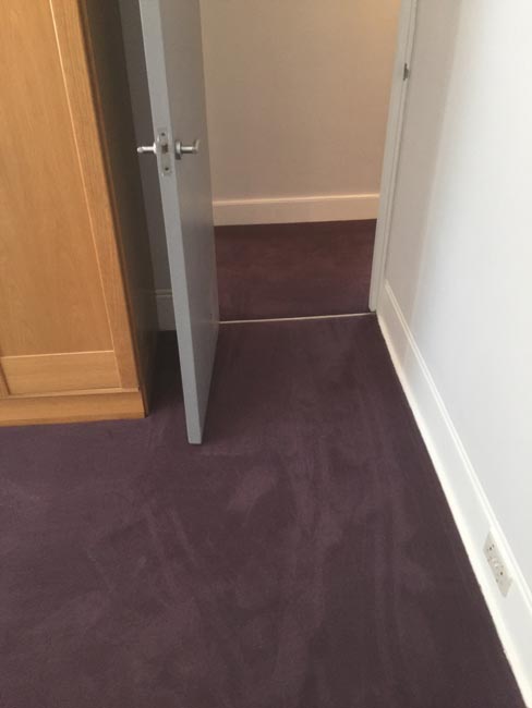 portfolio carpets purple carpet stairs and landings 13