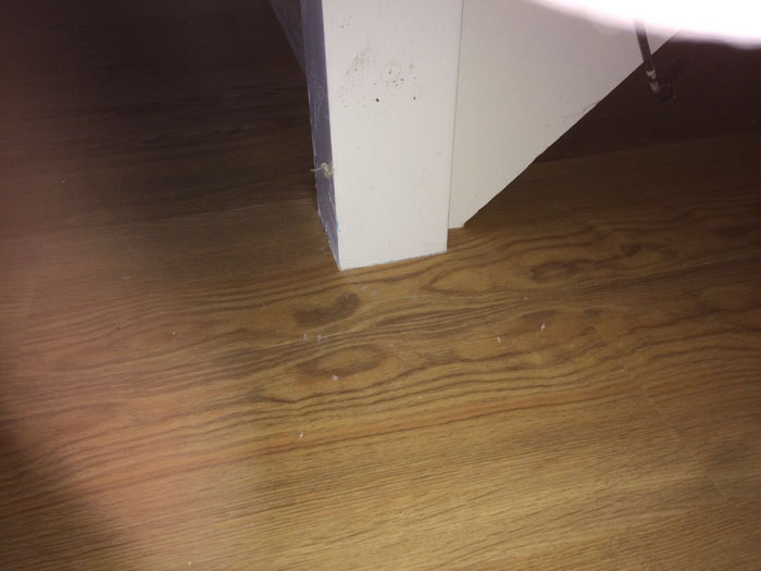 portfolio amtico wood effect works mf cr 25