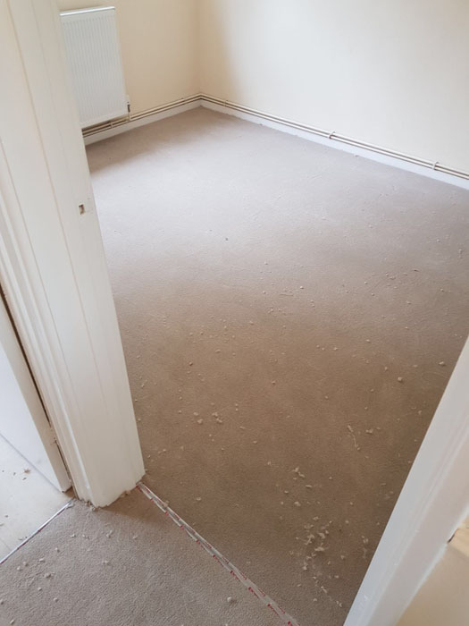 portfolio light room carpet installation 02