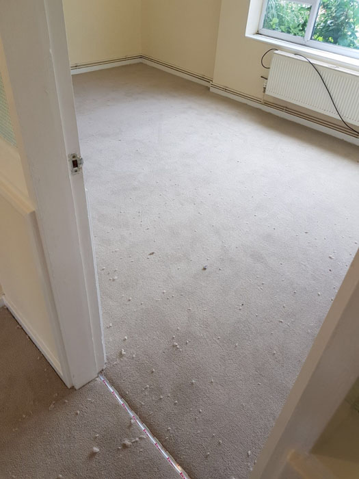 portfolio light room carpet installation 03