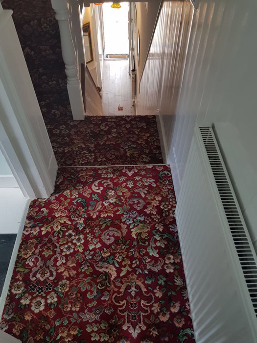 portfolio patterned red stair carpet 04