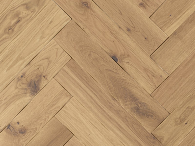 Atkinson & Kirby 700756 Rugby Rug - News