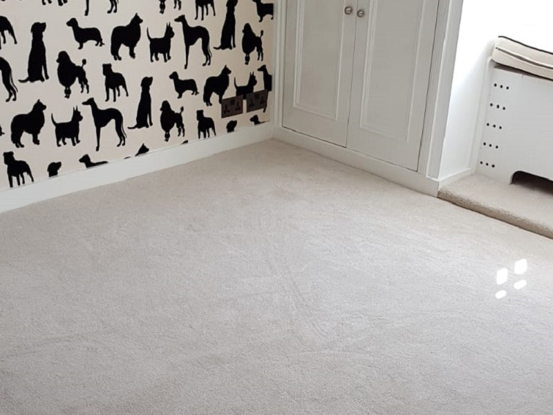 Silk Simulant Carpet Installed in Acton, Elements London, Home