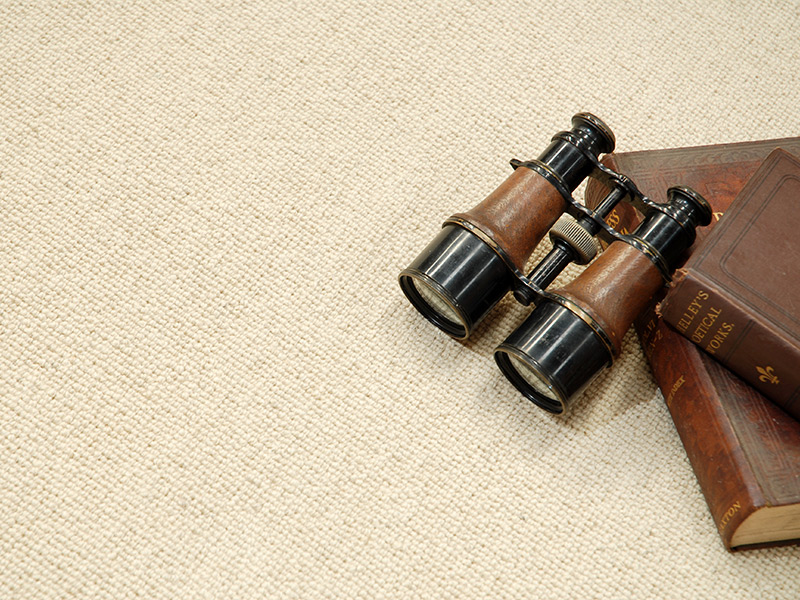 Hugh Mackay Carpets Deco Collection - Plains 2 - Products - Carpet
