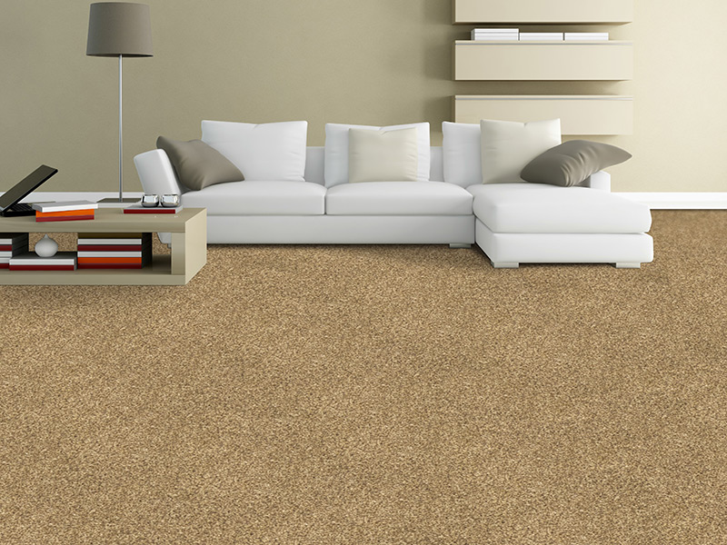 Regency Carpets Carefree - Chiltern Heathers