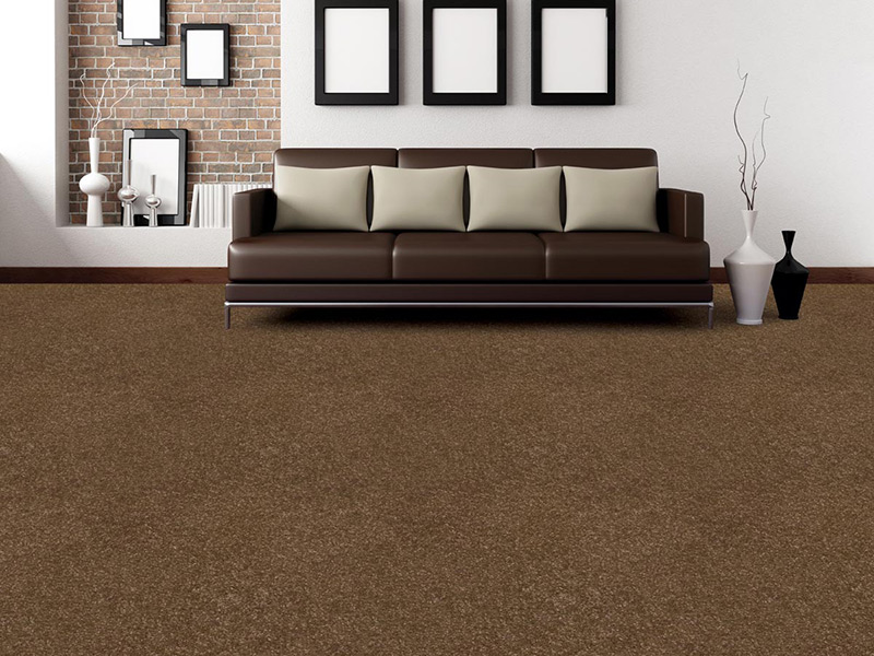 Regency Carpets Carefree - Noblesque Flooring