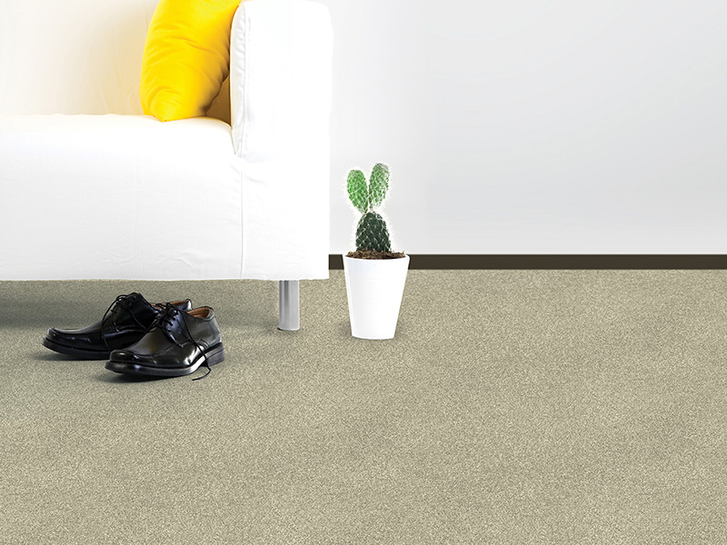 Regency Carpets Carefree - Royale Saxony