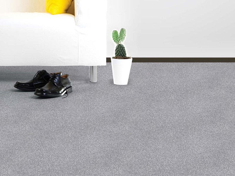 Regency Carpets Carefree - Sumptuous Flooring