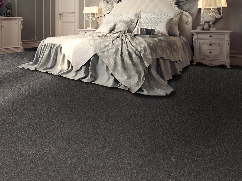 Regency Carpets Essenzo - Solitaire Flooring