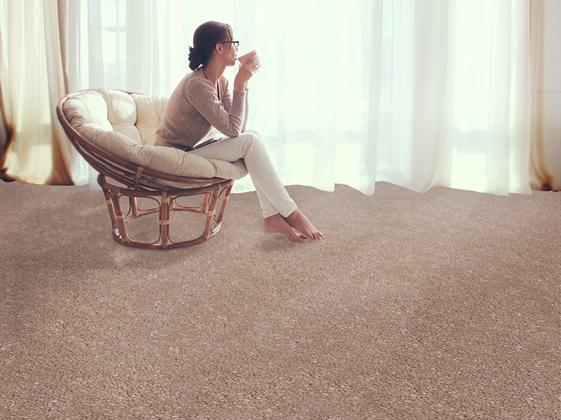 Regency Carpets Prestige - Indulgence Flooring