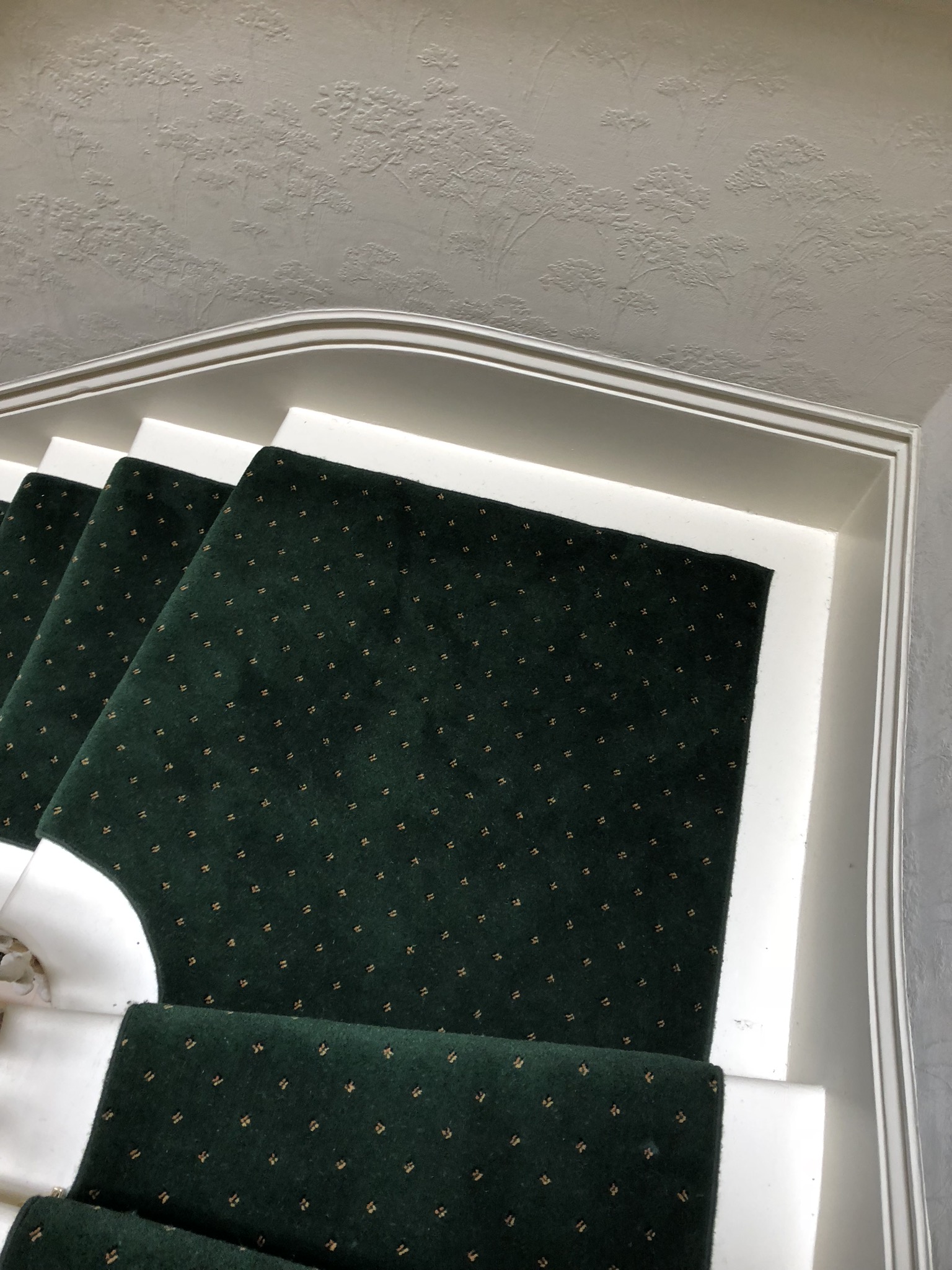 20180904_101603877_iOS