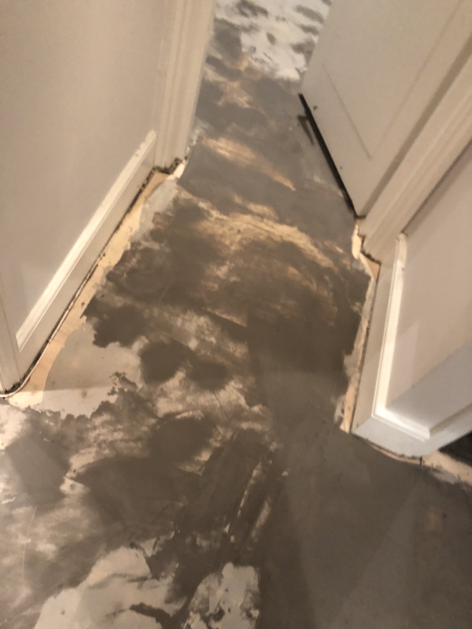 20180925_180820803_iOS