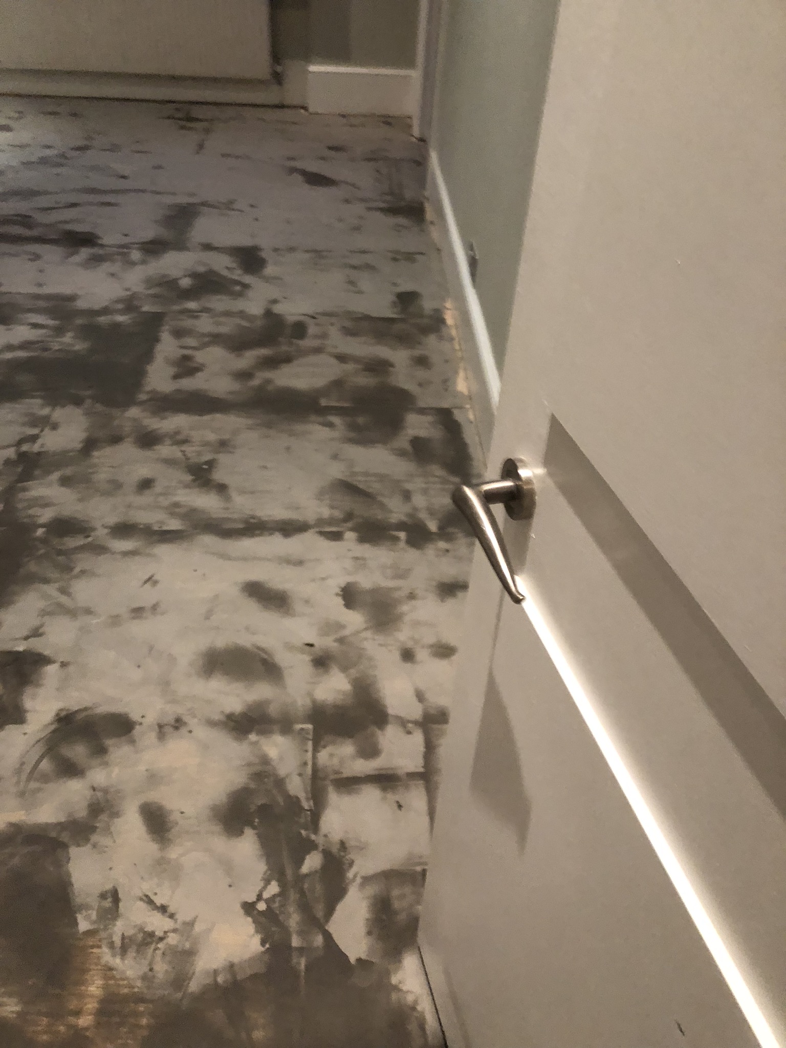 20180925_180832400_iOS